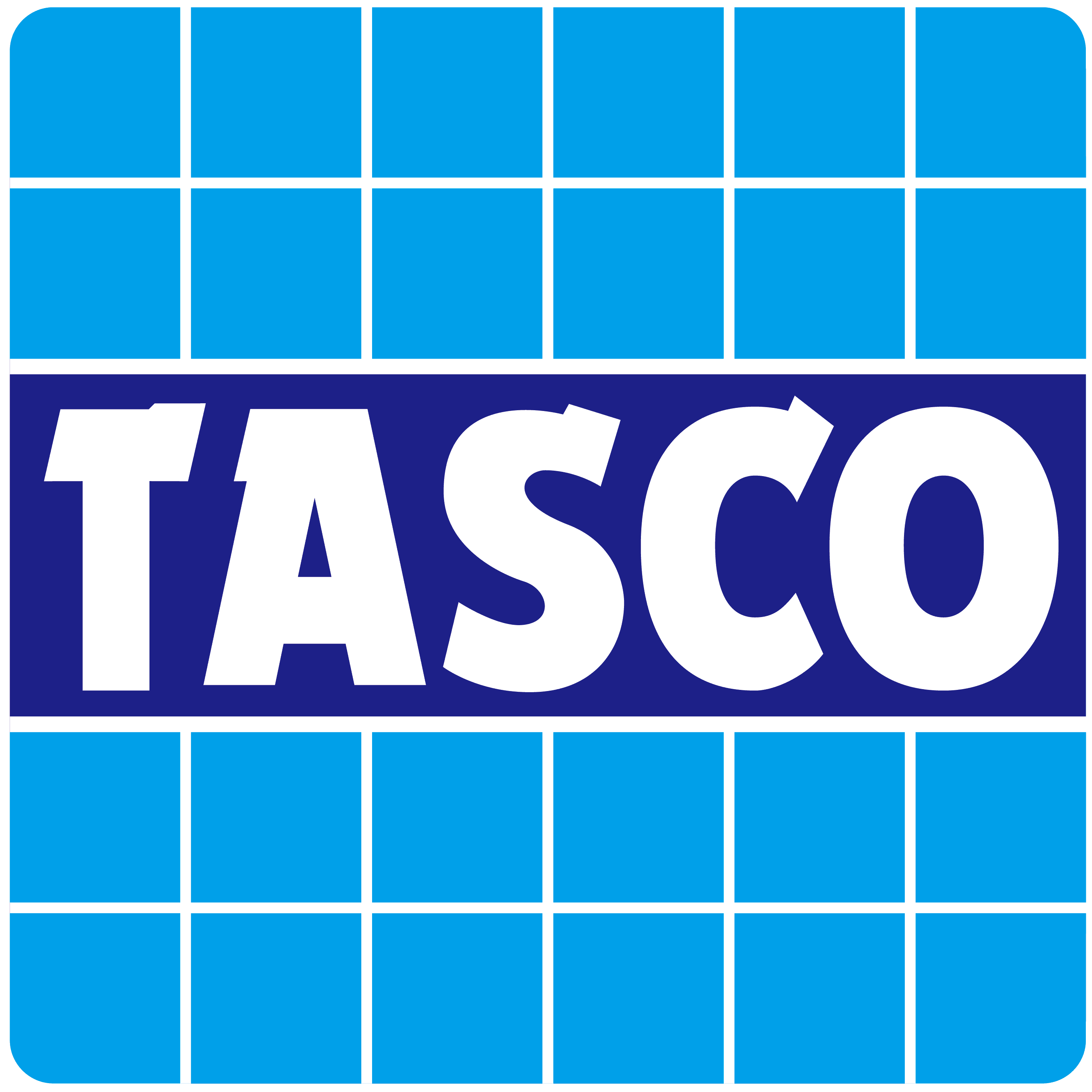 ICHINEN TASCO CO., LTD. logo