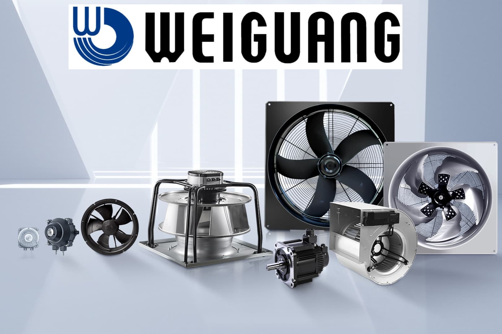 Hangzhou Weiguang Electronic Co., Ltd.