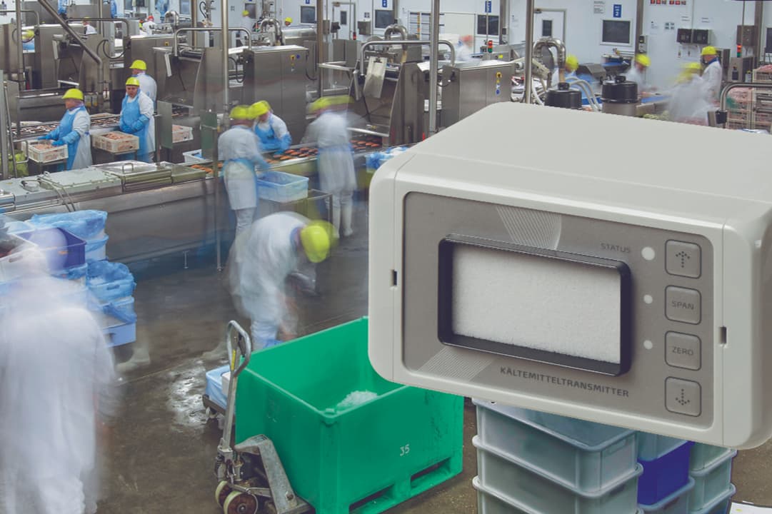 Dräger Safety AG & Co. KGaA