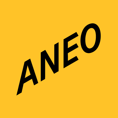 Aneo Industry AS logo