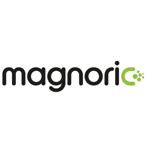 Magnoric logo