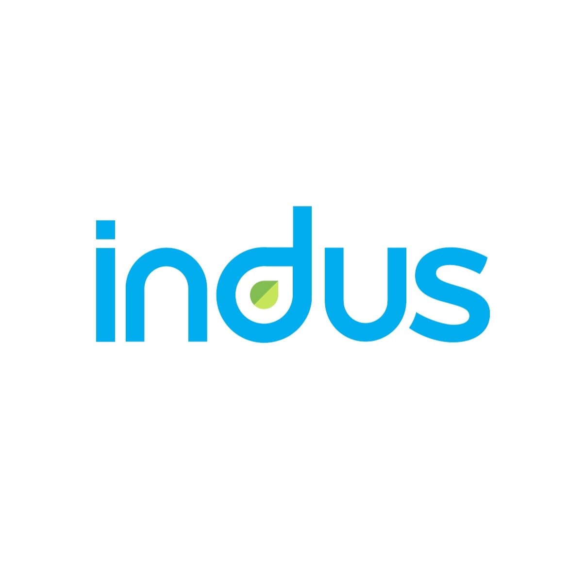 INDUS INTERNATIONAL logo