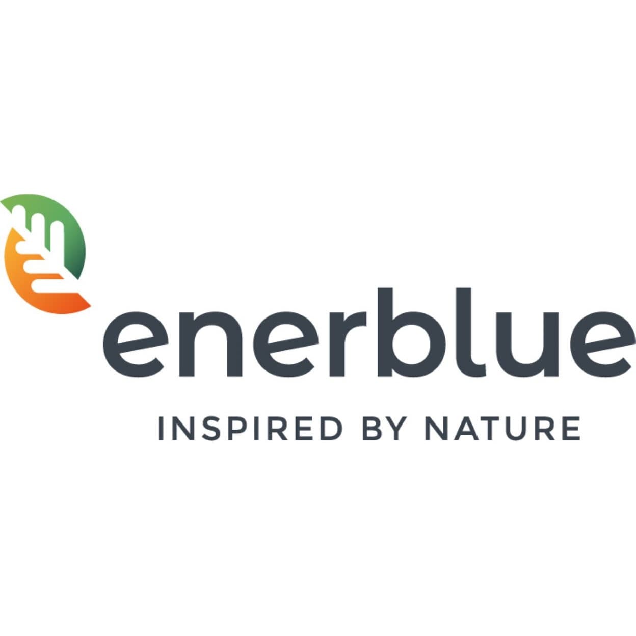 Enerblue Srl logo