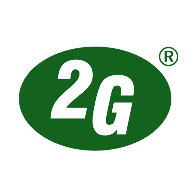 2G Energy AG logo