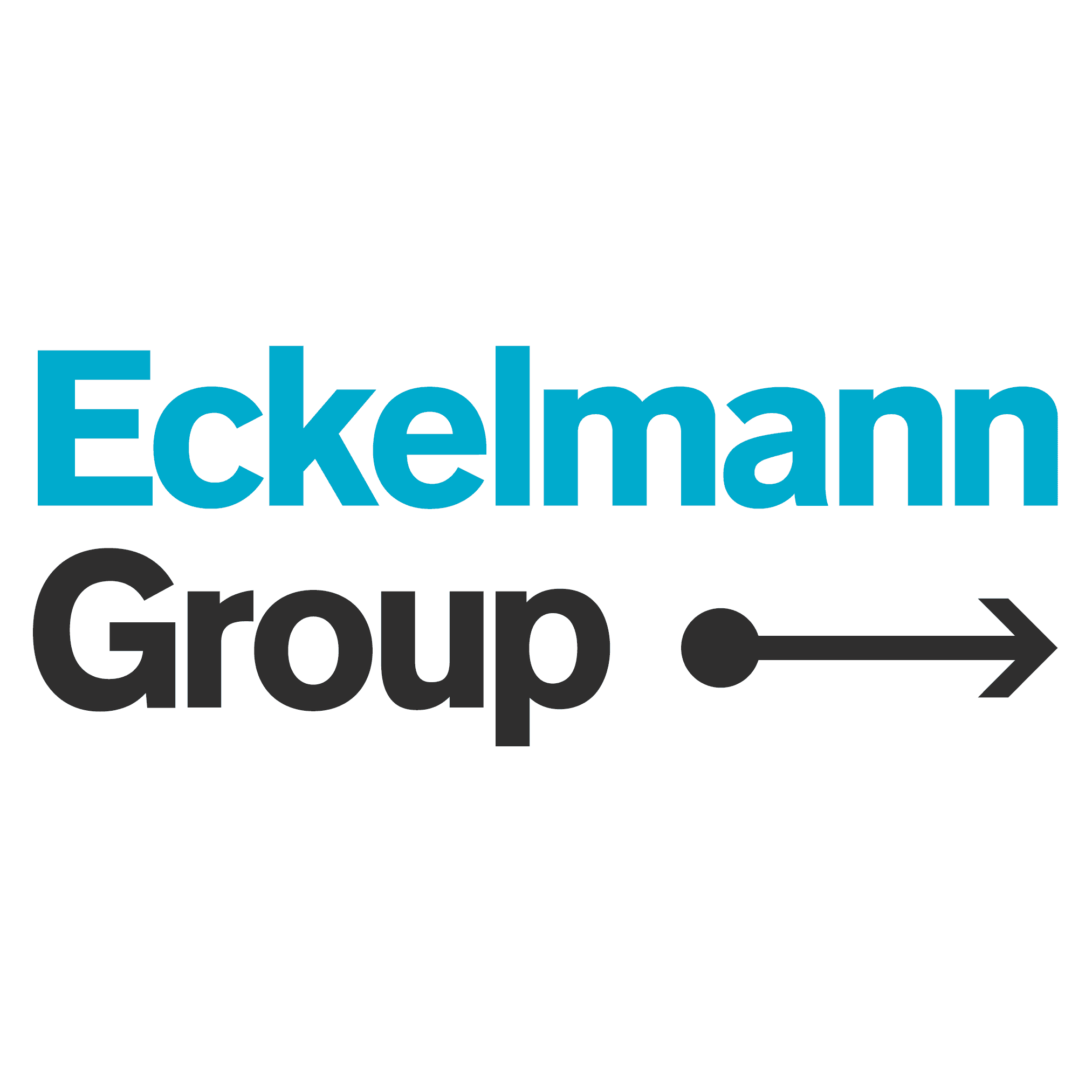 Eckelmann AG logo