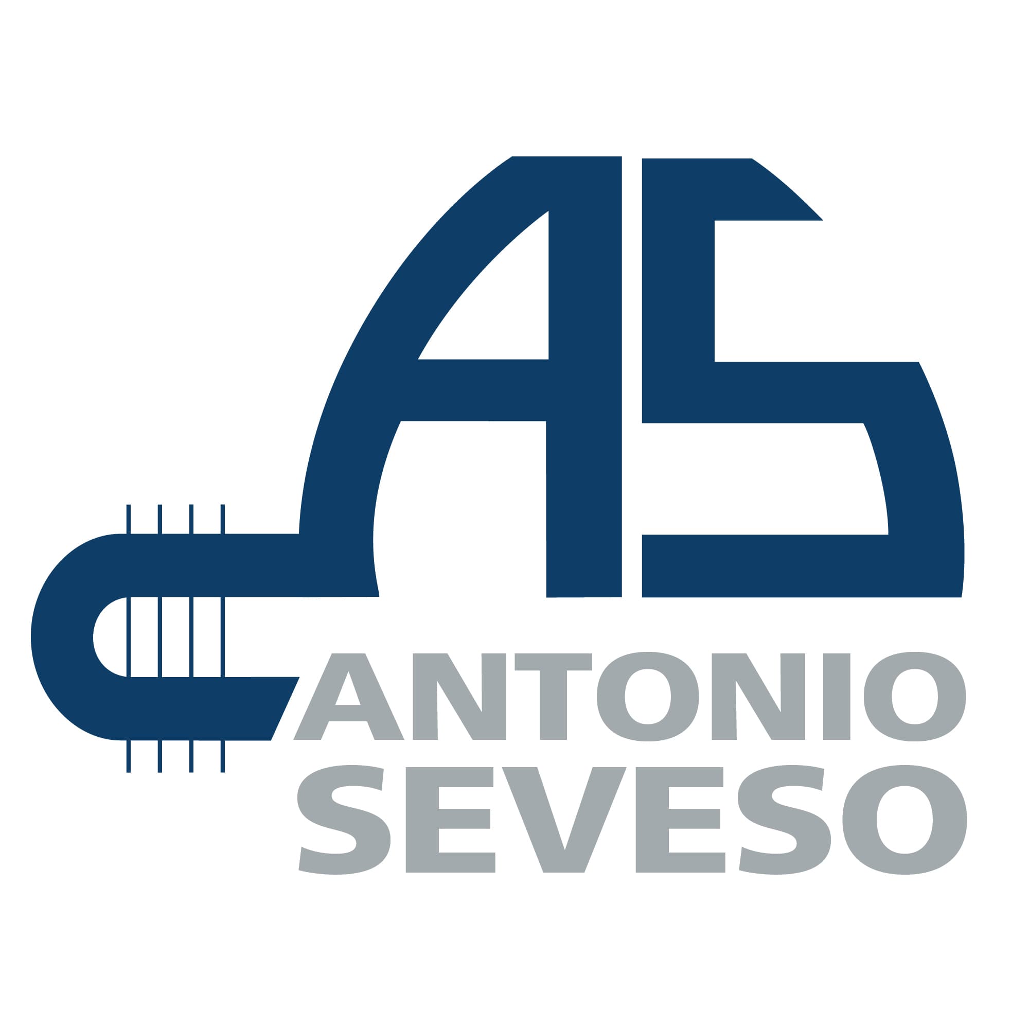 ANTONIO SEVESO SPA logo